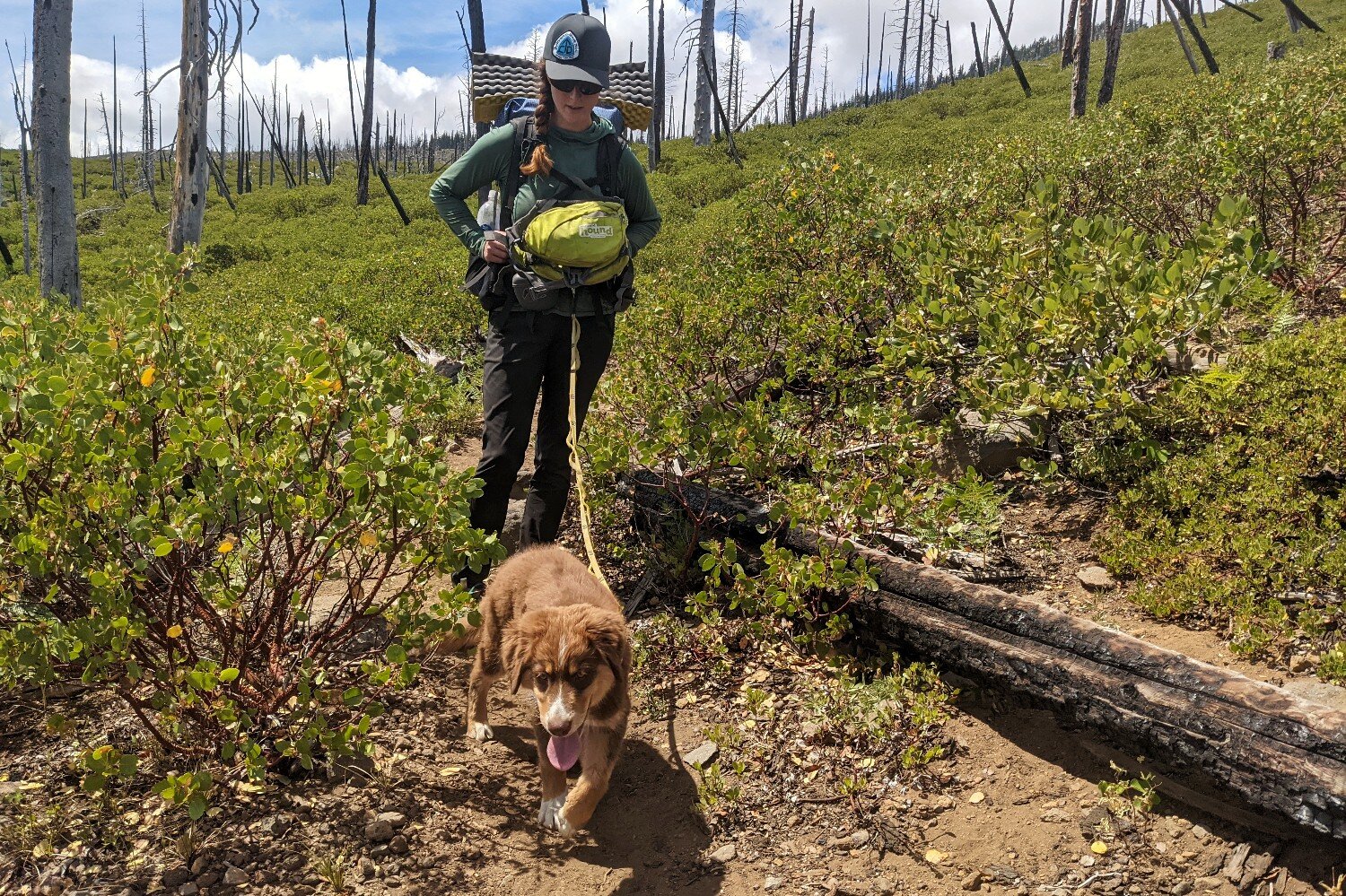 The small capacity Outward Hound Daypak is good for getting young dogs used to carrying a backpack, but it’s important to give them a break from wearing it every once in a while on the trail