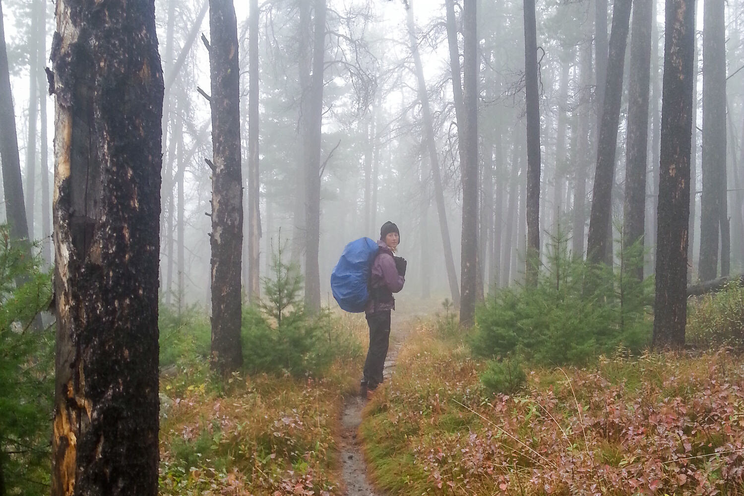 The Patagonia Torrentshell 3L pants are durable enough for long distance hikes in wet climates.
