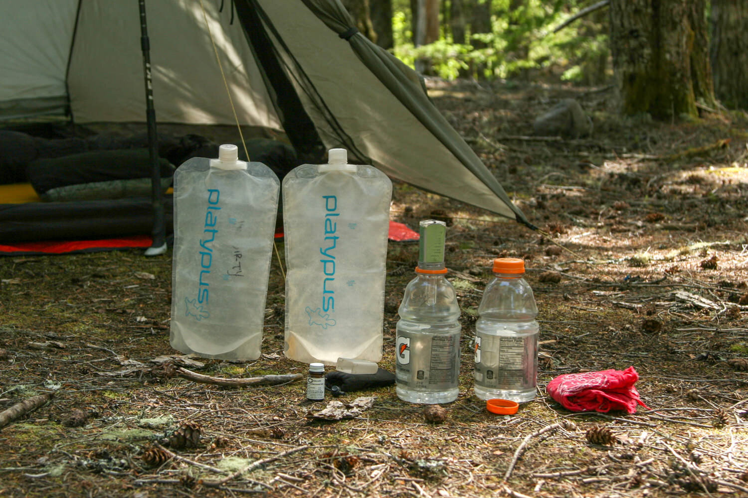 https://www.cleverhiker.com/wp-content/uploads/2023/08/A-couple-of-water-bottles-and-platypus-water-bladders-at-a-campsite.jpeg