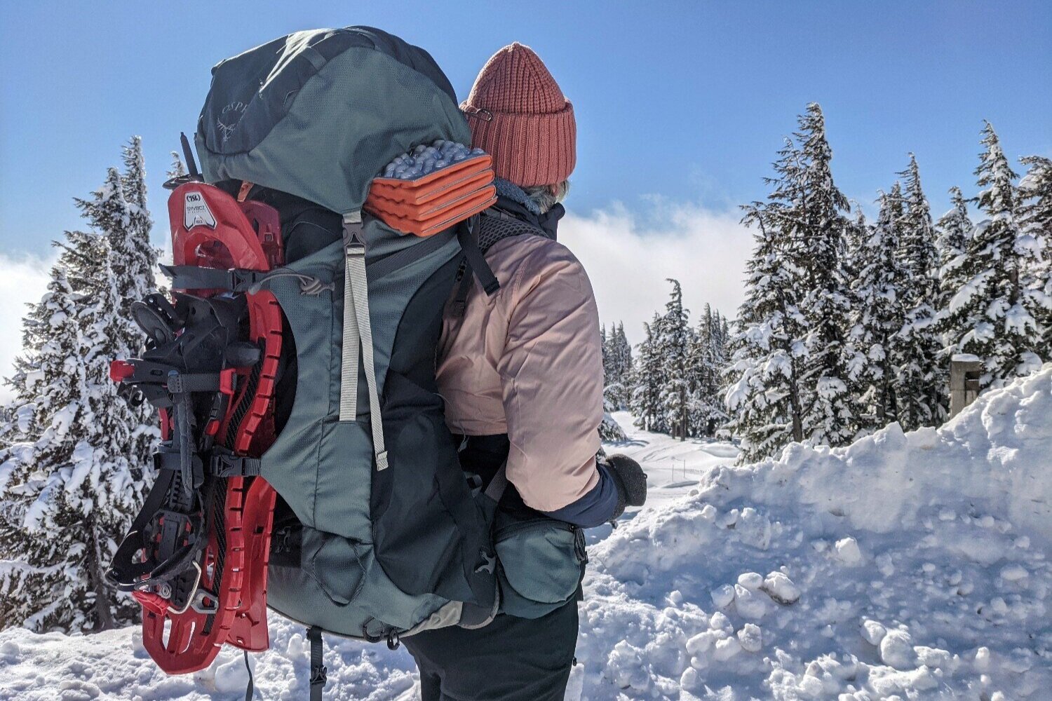 travel bag for hiking backpack