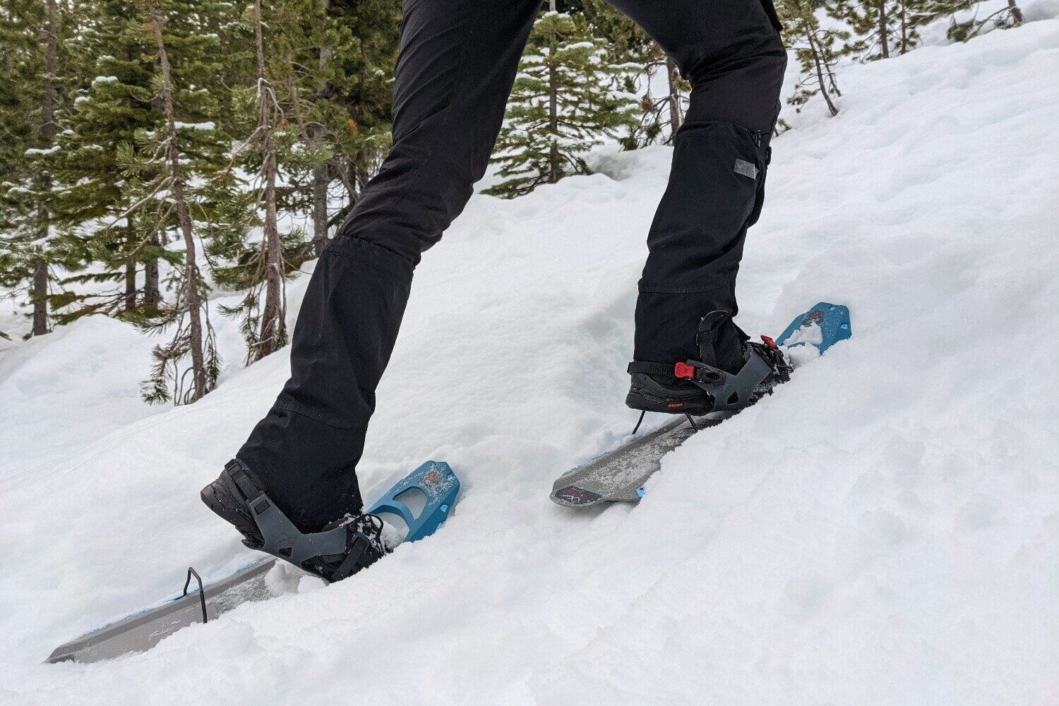 travel in snow shoes