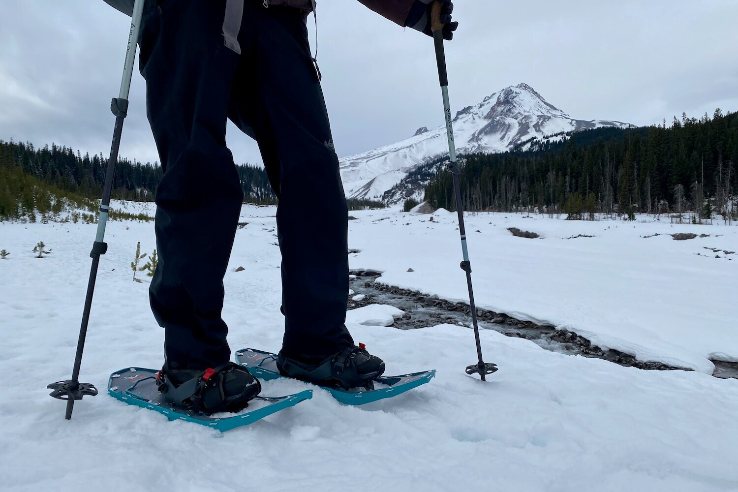 We almost always use trekking poles for snowshoe treks. Pictured above: Black Diamond Trail Ergo Cork Trekking Poles.