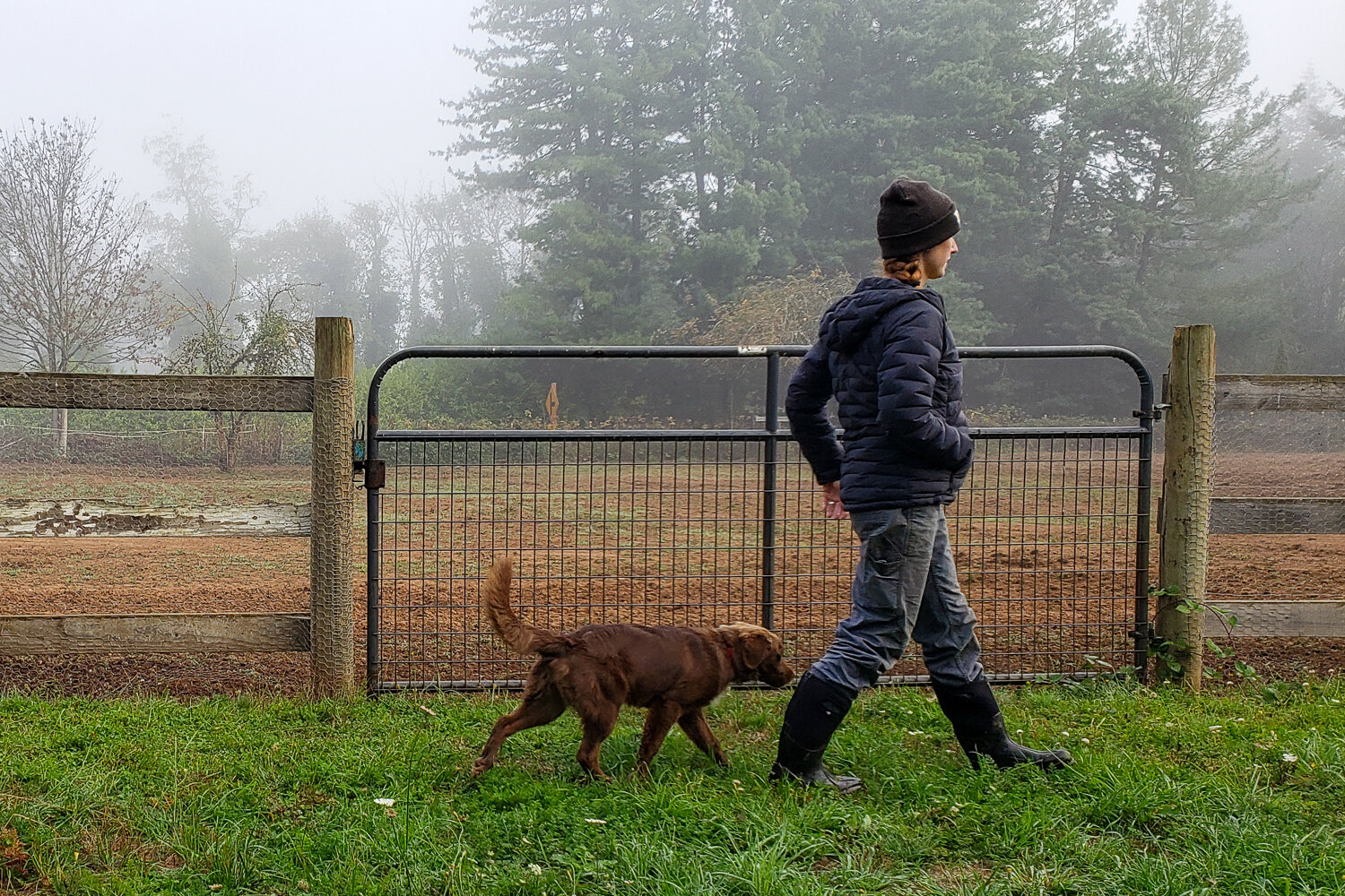 The Bogs Classic High are easy to slip on and incredibly useful for outdoor chores.