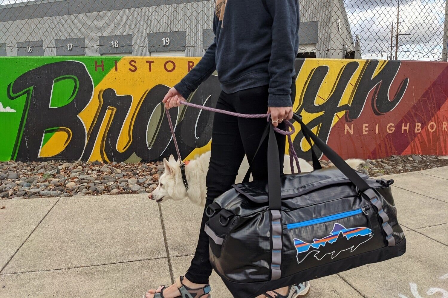 Patagonia duffel backpack carry on size sale