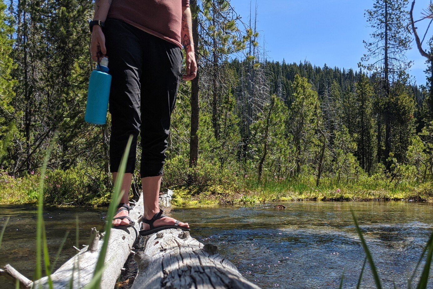 Minimalist sandals, like the Xero Shoes Z Trail, are designed to flex with your foot.