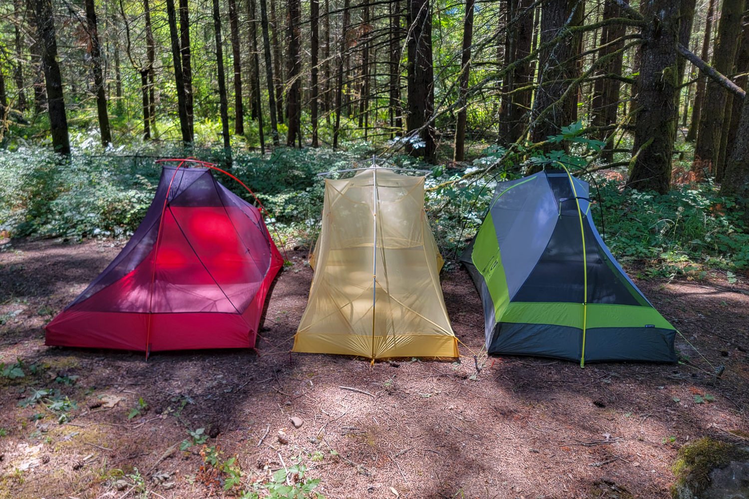The MSR FreeLite 2, Big Agnes Tiger Wall UL2, and NEMO Hornet OSMO 2 backpacking tents side-by-side