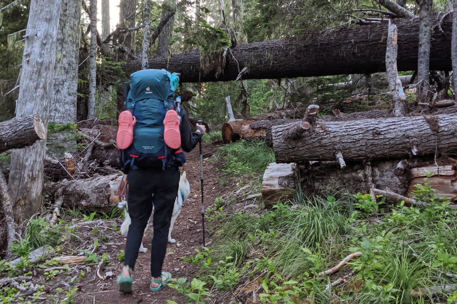 A lightweight pair of camp shoes, like the Crocs Classic Clogs, can be comfortably strapped to the outside of your pack.