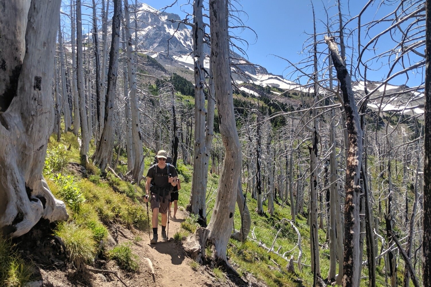 Trekking poles can help provide some forward momentum for long uphill slogs.