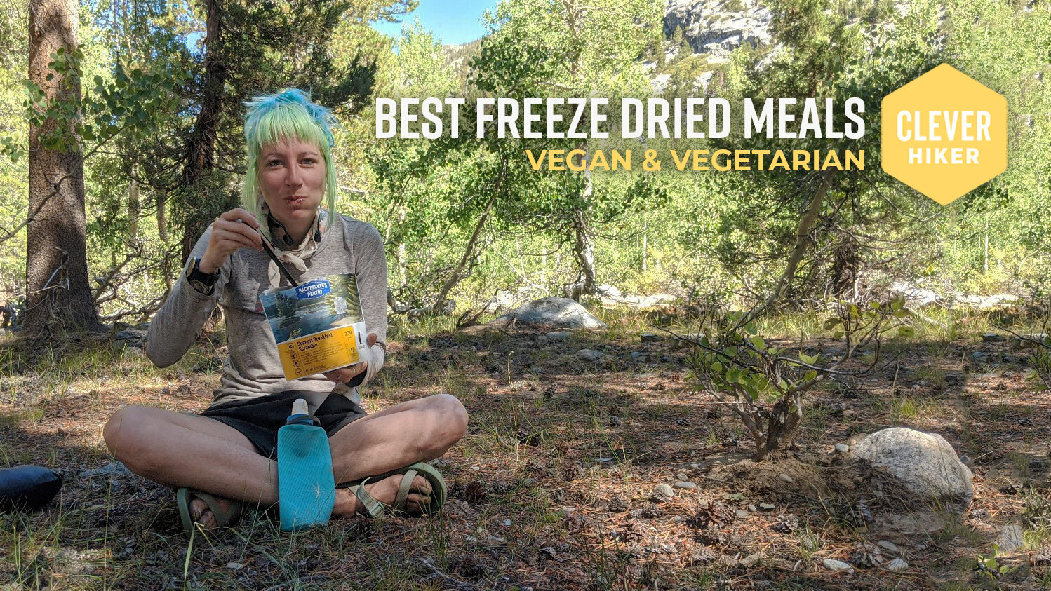 Best Vegan and Vegetarian Freeze-Dried Meals