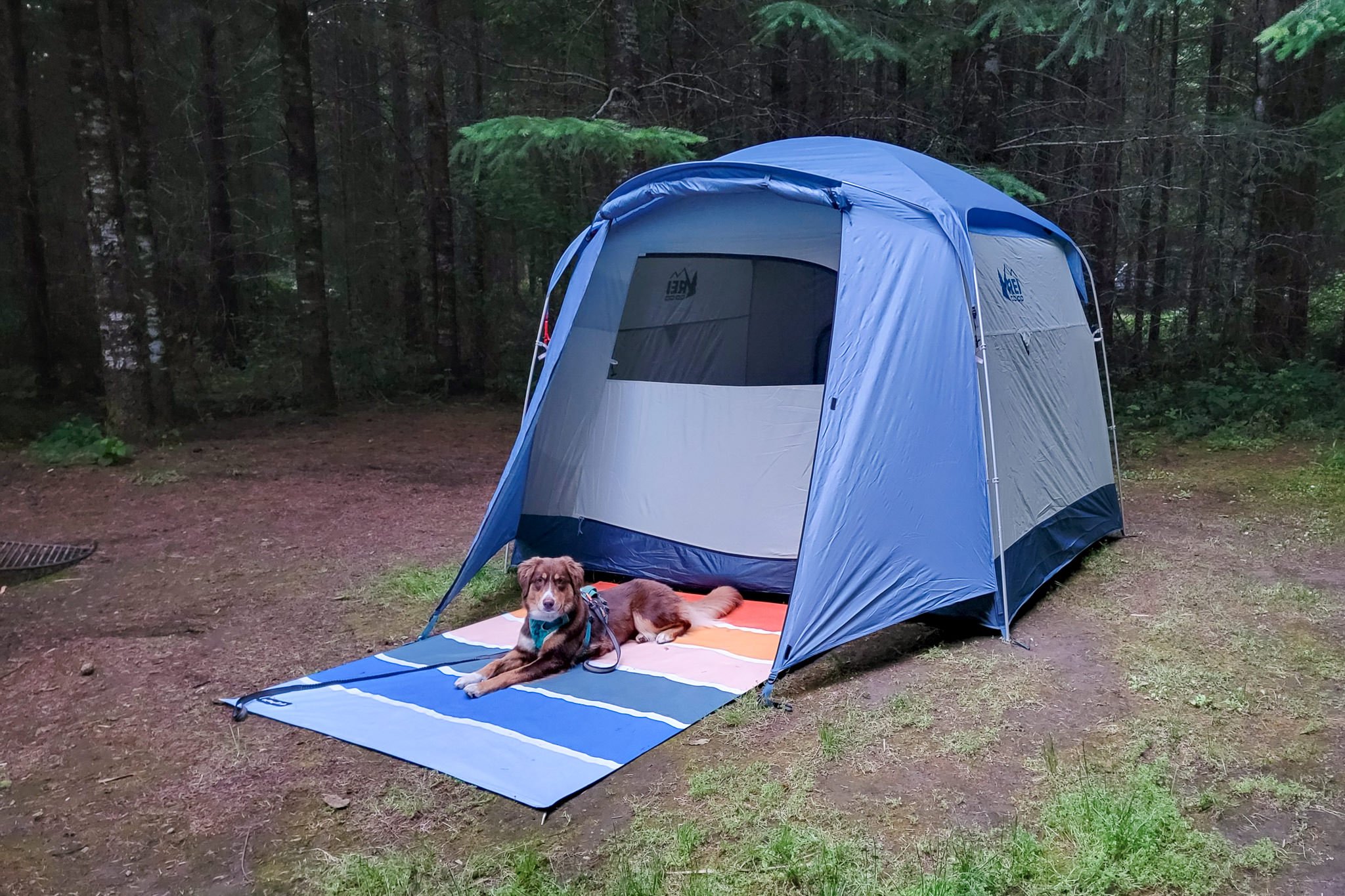 The Nomadix Festival Blanket being used as an outdoor rug in front of a camping tent