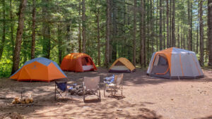 The Marmot Tungsten 4, REI Wonderland 6, REI Camp Dome 4, and Coleman Octagon 98 in a forested campsite next to a fire ring.