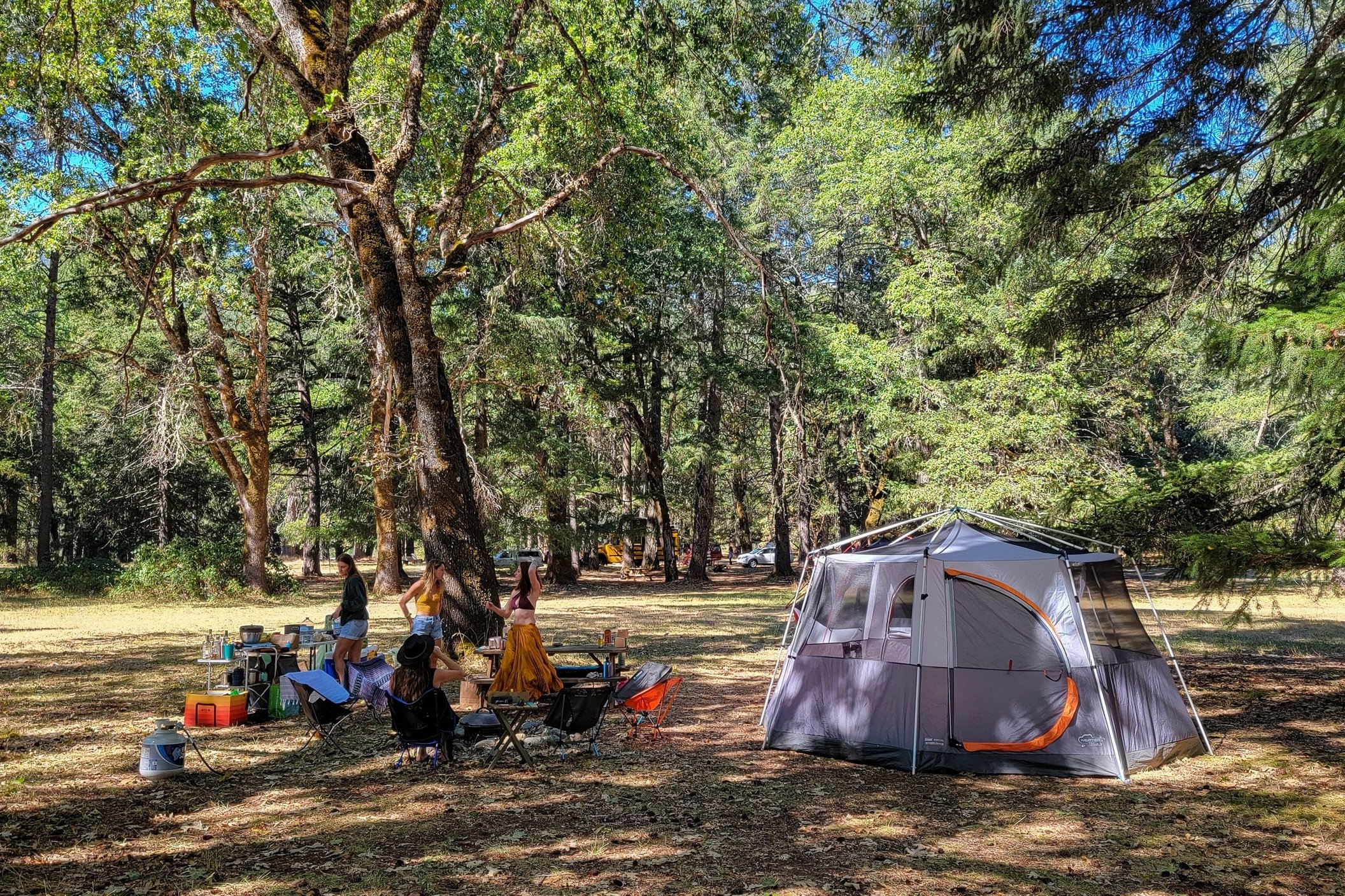 The Coleman Octagon 98 in a beautiful campsite surrounded by oak trees