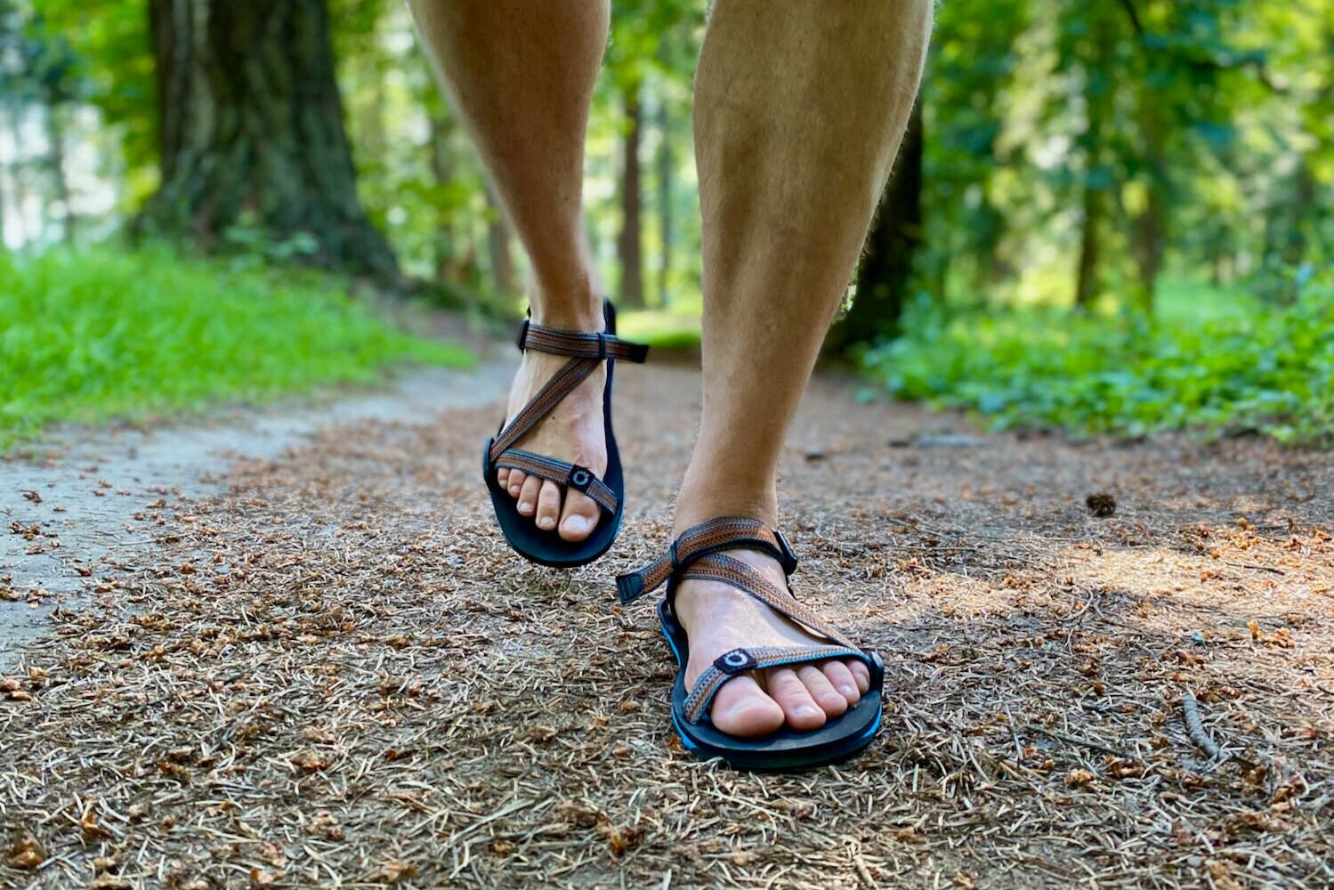 The Xero Shoes Z Trail are our favorite ultralight hiking sandals.