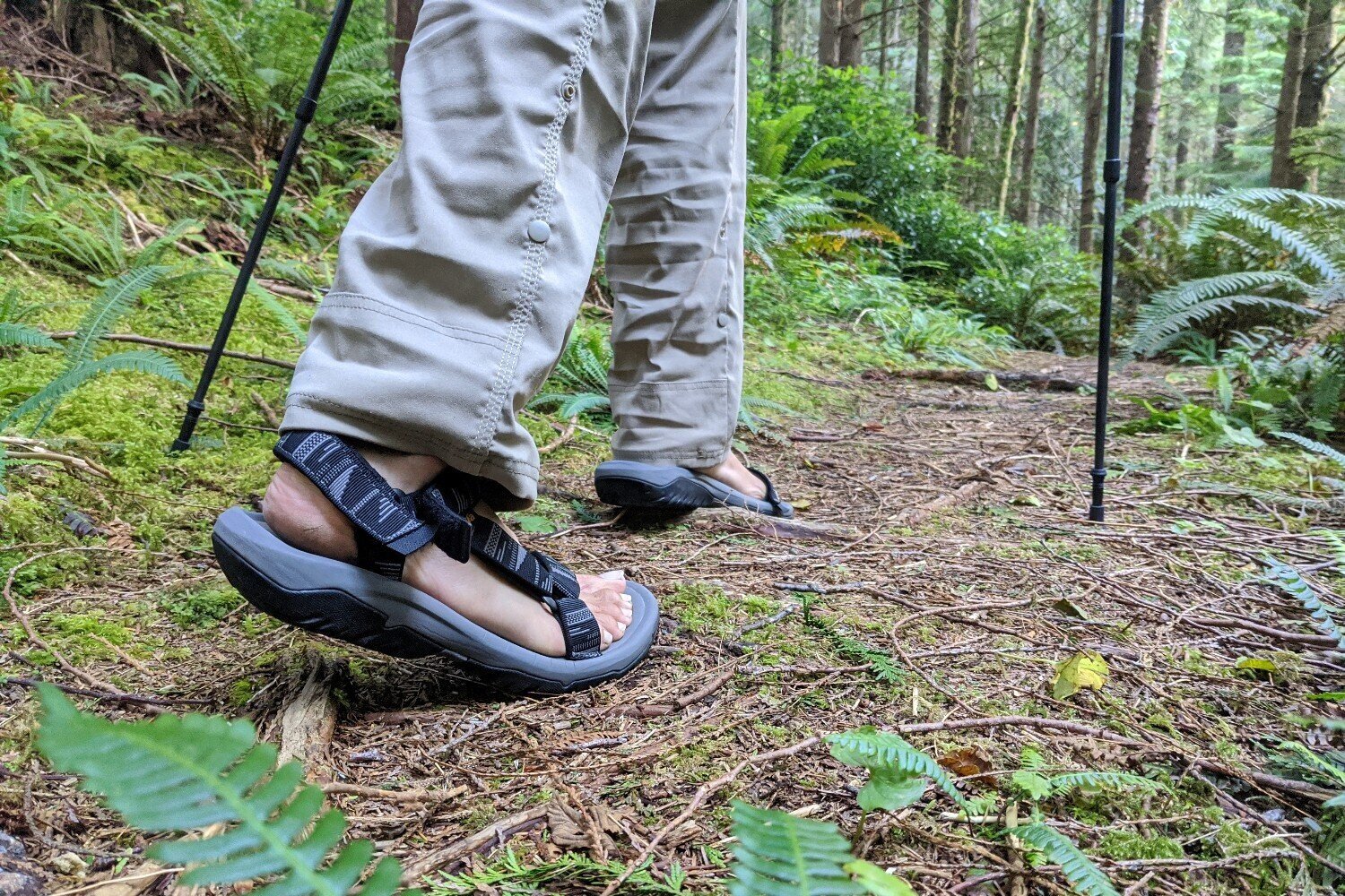 Hiking with the budget-friendly Teva Hurricane XLT2 on the Oregon Coast Trail.