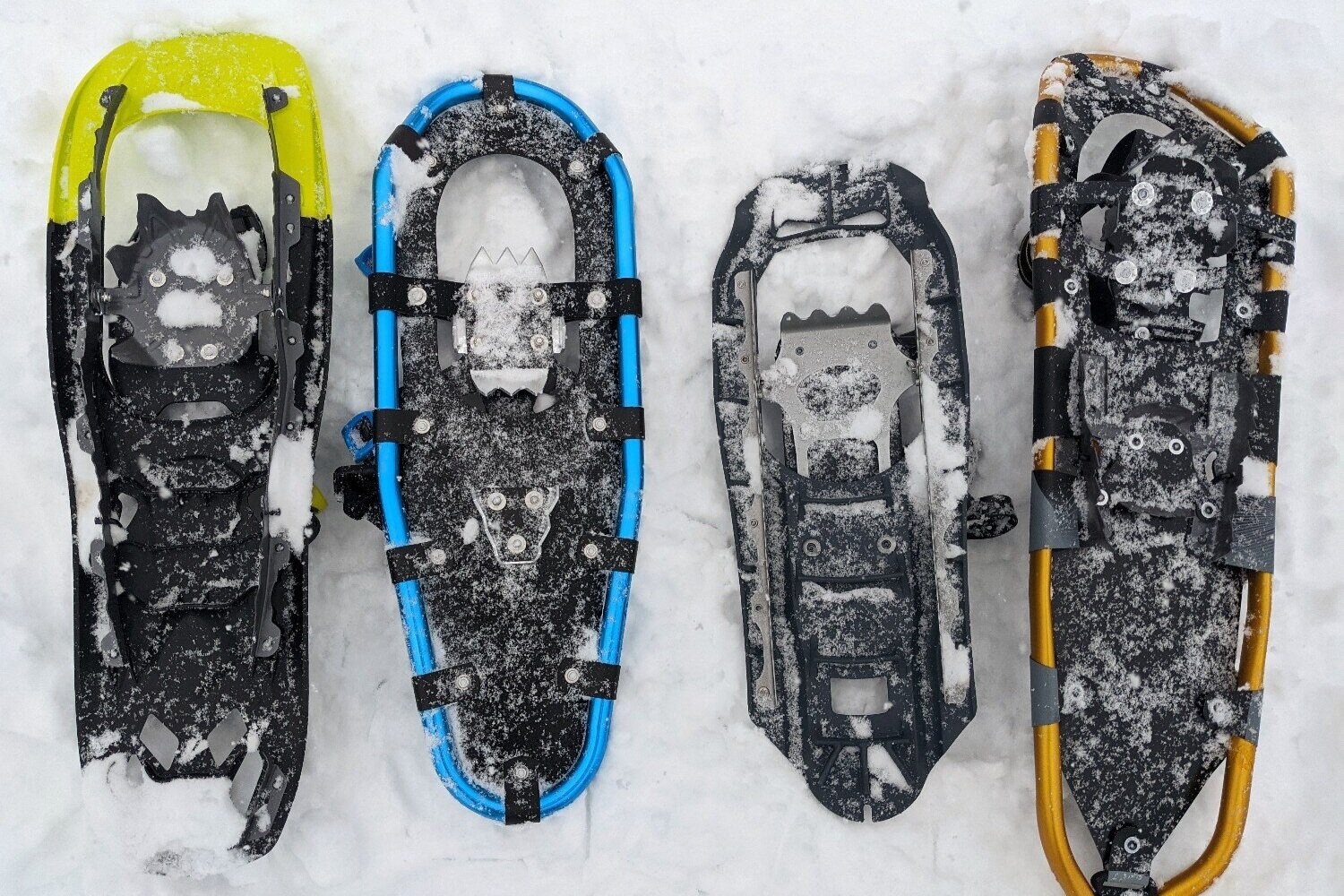 travel in snow shoes