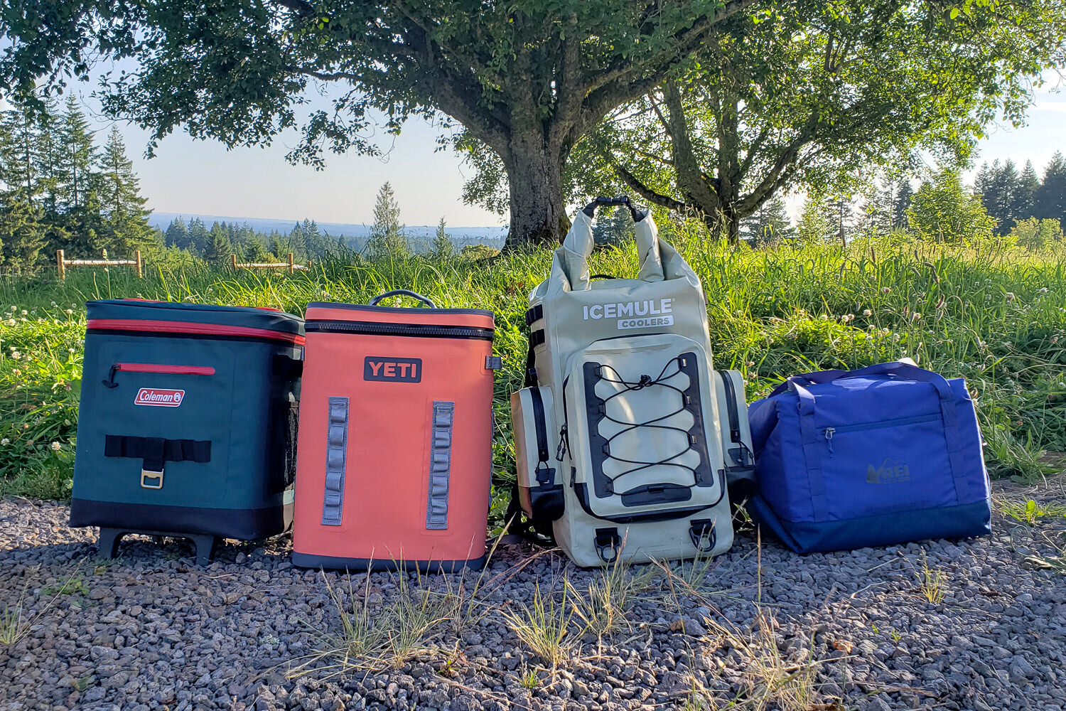From left to right: Coleman 42-Can Wheeled Soft Cooler, Yeti Hopper Backflip 24, IceMule BOSS, and REI Packaway 24 Soft Cooler