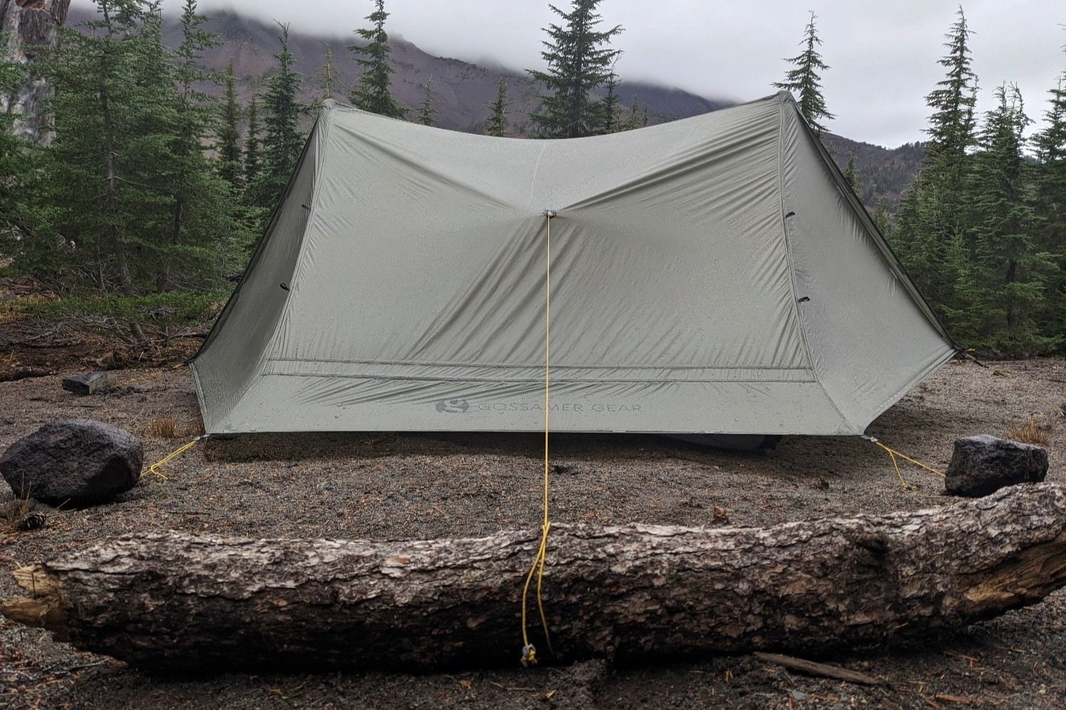 A tent with the guylines tied off to a branch and some rocks