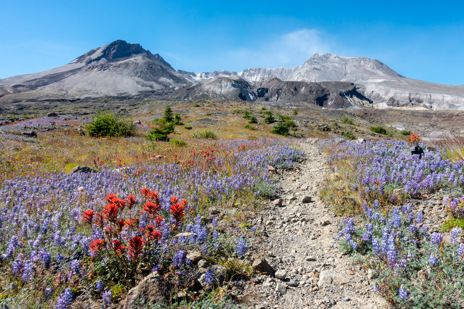 Loowit Trail Loop - Mount St. Helens
