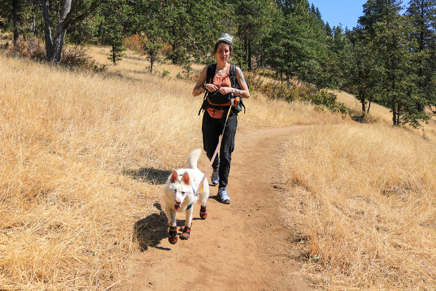 Be sure to check out our Tips for Hiking with a Dog post to learn how to keep hikes safe and enjoyable for both of you