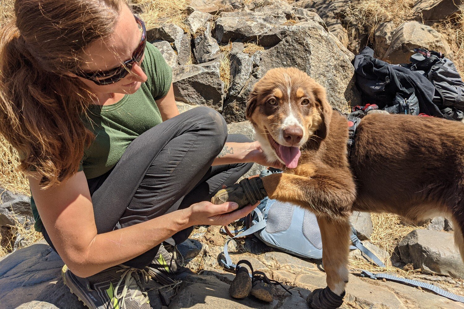 The wide opening on the Expawlorer Waterproof boots make them easy to slip on squirmy dogs