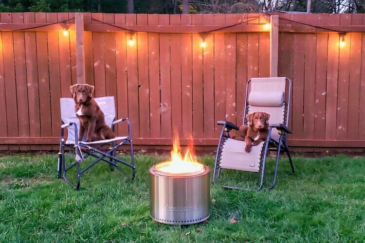 Two dogs sitting in the GCI Freestyle Rocker & GCI Zero Gravity camping chairs next to the Solo Stove Bonfire