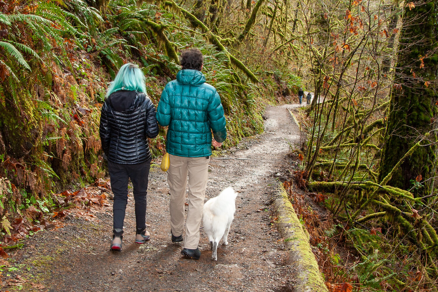 The Mountain Hardwear Ghost Whisperer/2 (Left) and Montbell Plasma 1000 Alpine Parka (Right) are two of our favorite ultralight, packable down jackets.