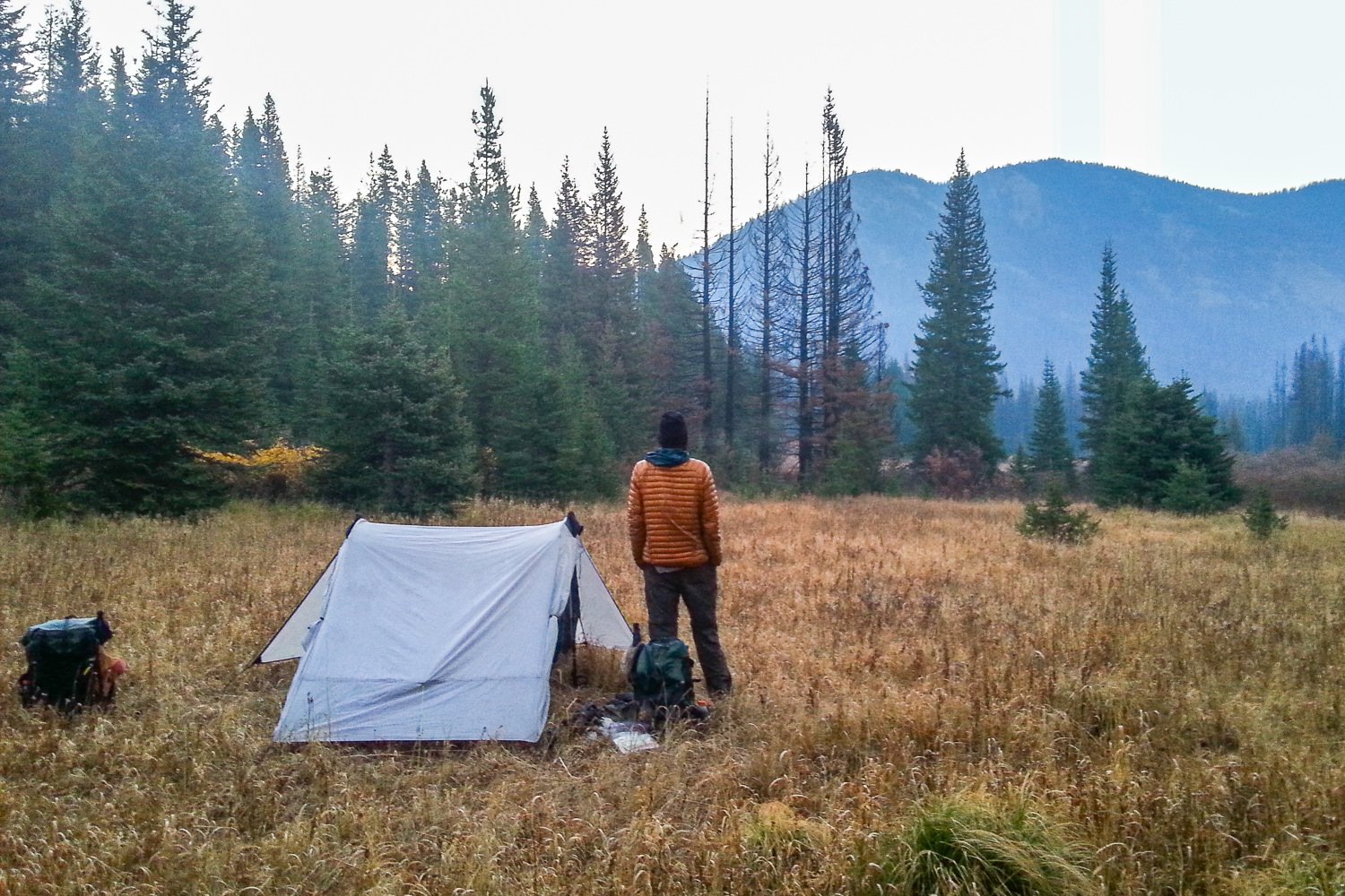 A backpacker standing in a misty mountain meadow next to the Six Moon Designs Lunar Duo Tent