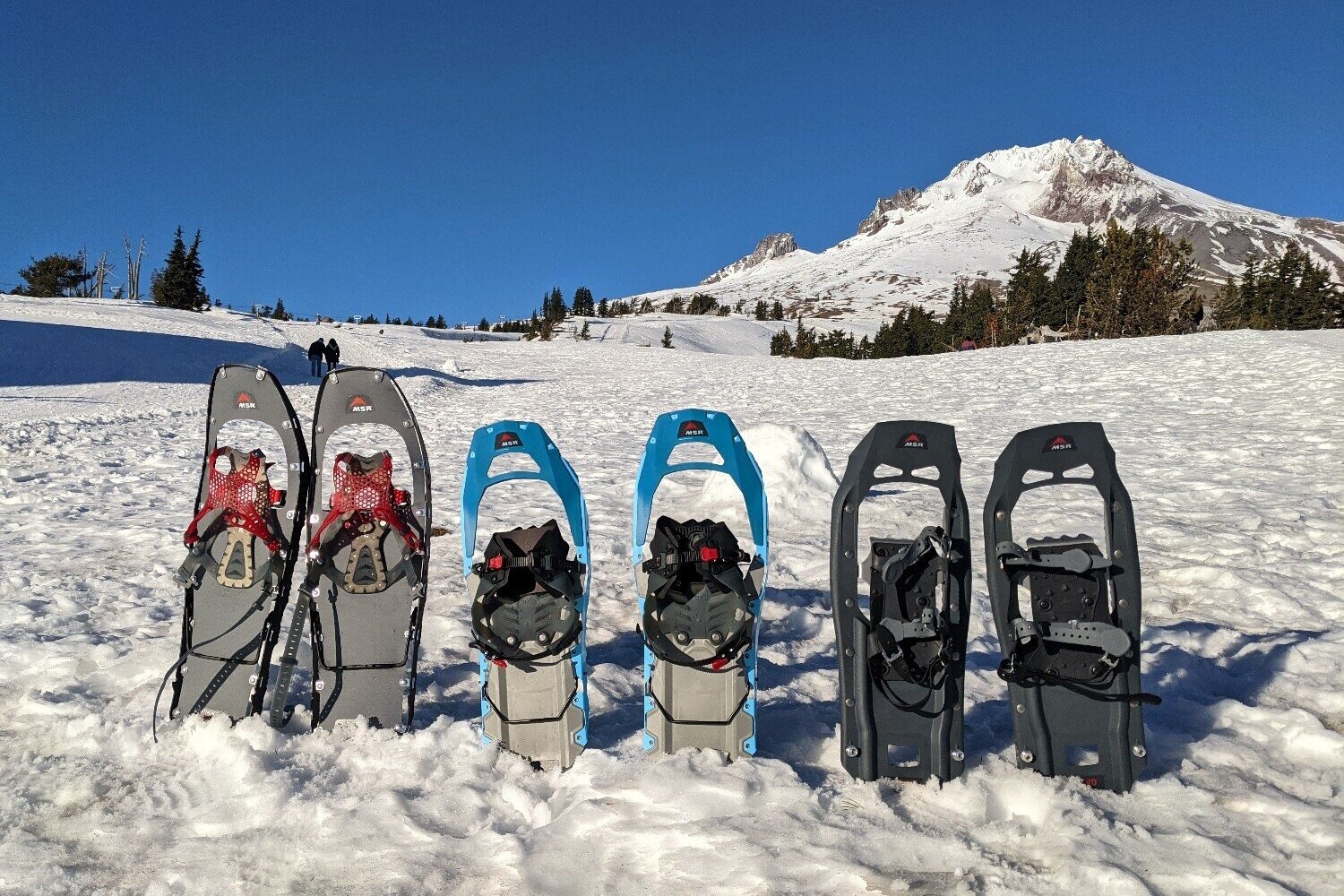 Taking some MSR Snowshoes on a test hike to compare. From left to right: MSR Lightning Ascent, MSR Revo Explore, MSR Evo Trail