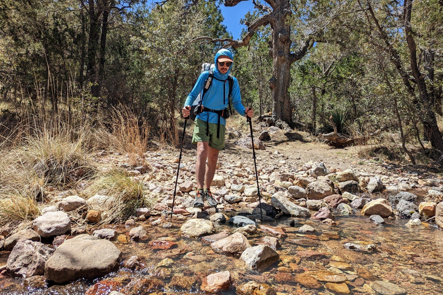 Treyl DuraLight Pro Trekking Poles - Ultralight For Backpacking Hunting –  Treyl Co.