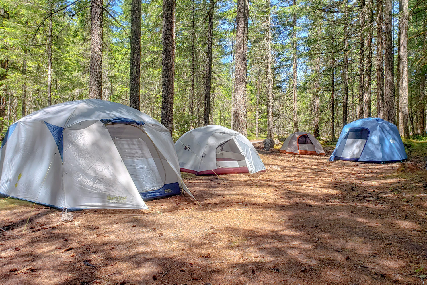 The Eureka Space Camp 4, REI Half Dome 4 Plus, REI Passage 3, and REI Grand Hut 4 tents in a forested campsite.