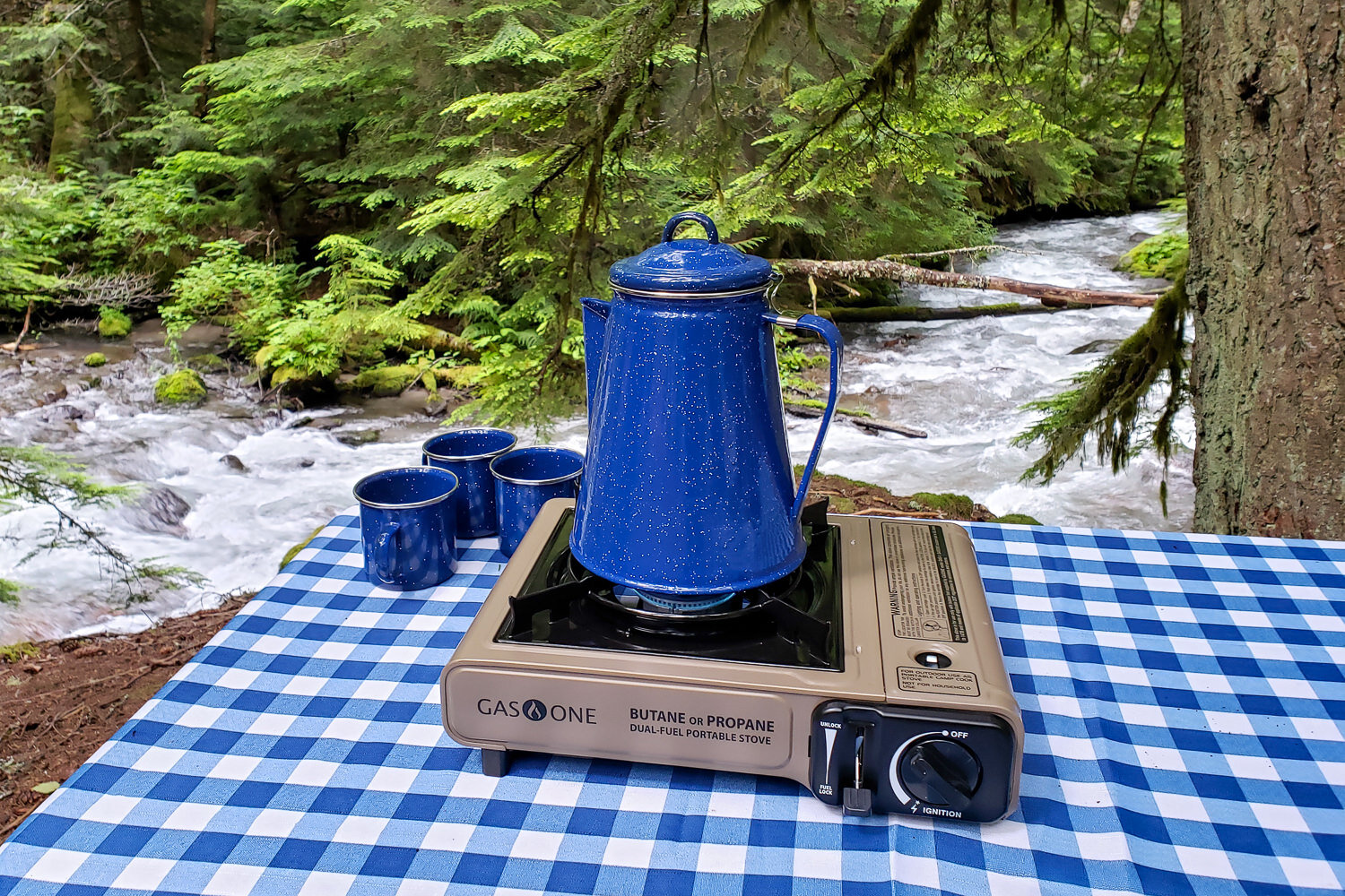 butane portable stove camping table top