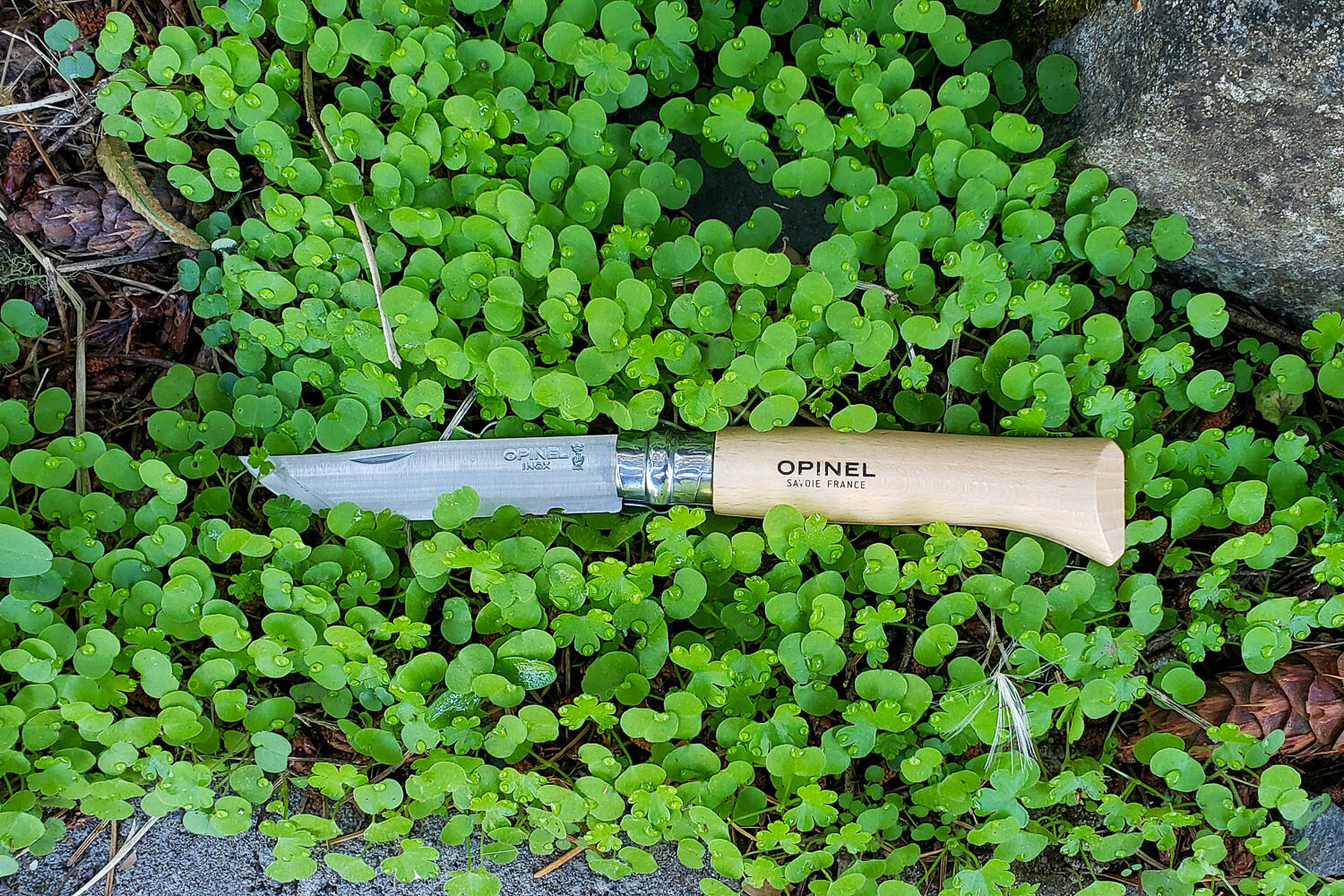 https://www.cleverhiker.com/wp-content/uploads/2023/08/The-Opinel-No-8-in-the-clover.jpeg