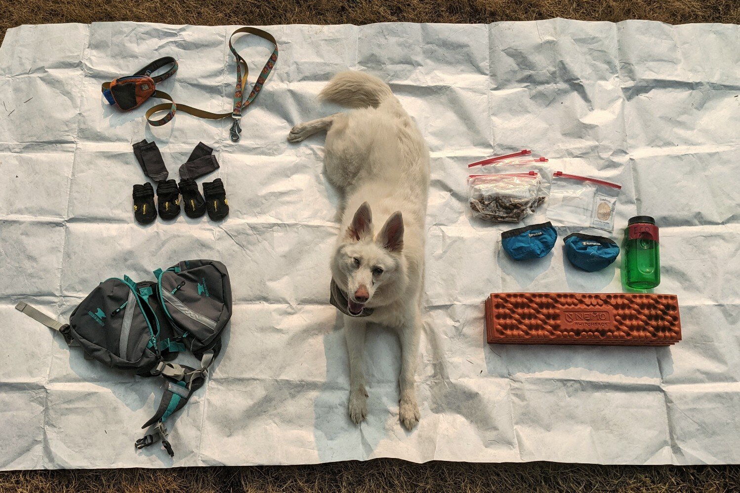 For backpacking, our dogs carry their bowls, treats, a few days worth of food, socks, and boots or Musher’s Wax (depending on terrain) in their backpack