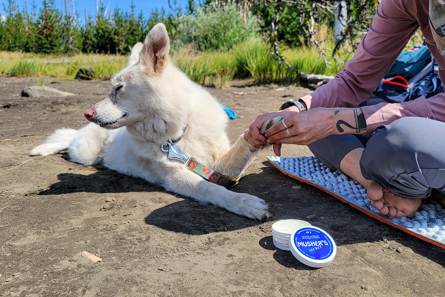Musher’s Secret Wax PROTECTS YOUR DOG'S PAWS FROM SAND, SNOW, & HOT SURFACES