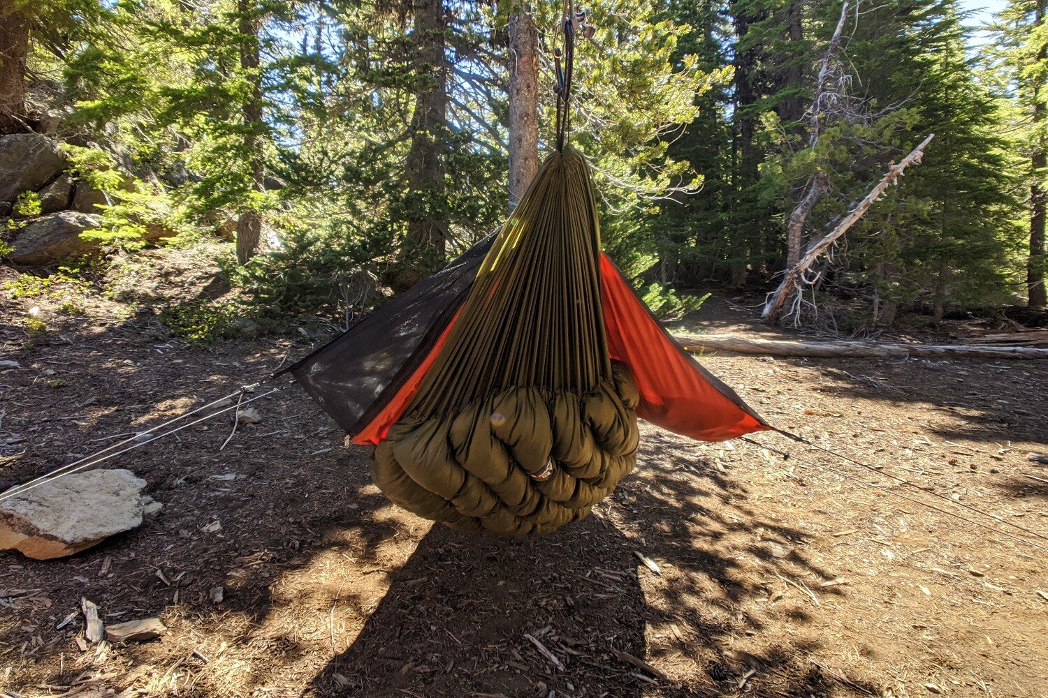 sunny campsite in a forest with a warbonnet hammock hung up