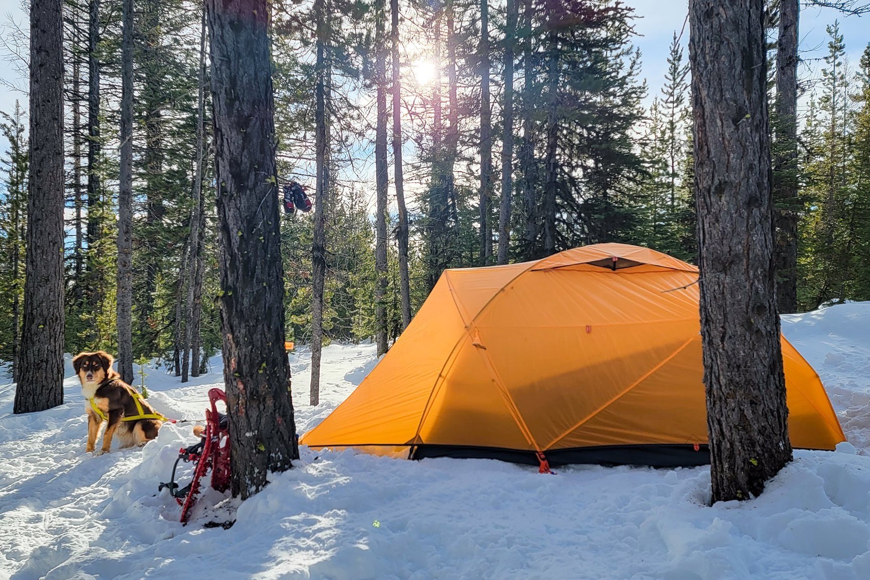 The NEMO Kunai 4 Season Tent set up in snow in a forest