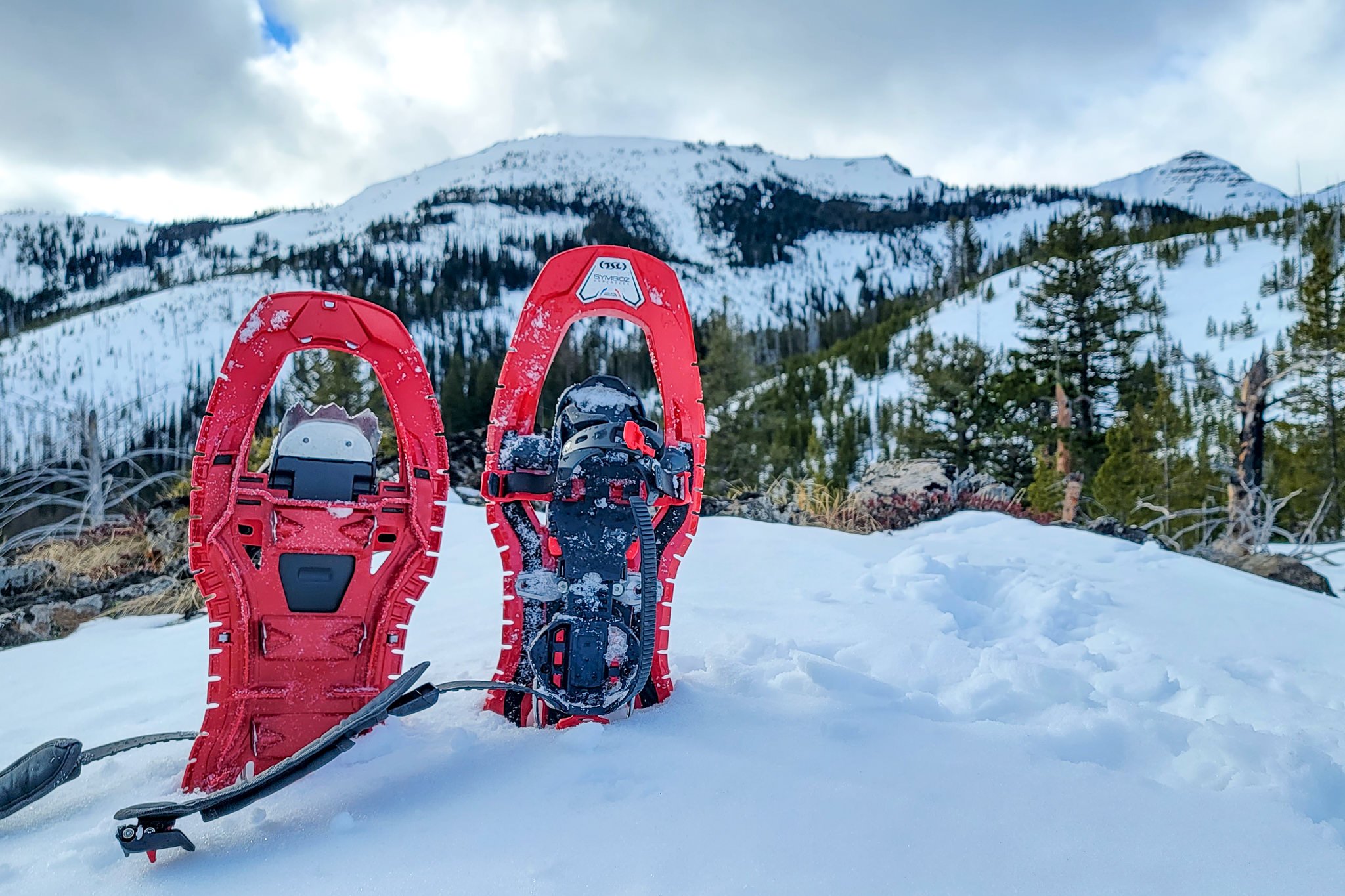 A pair of TSL Symbioz Hyperflex Elite Snowhsoes sticking up out of the snow in front of a mountain view