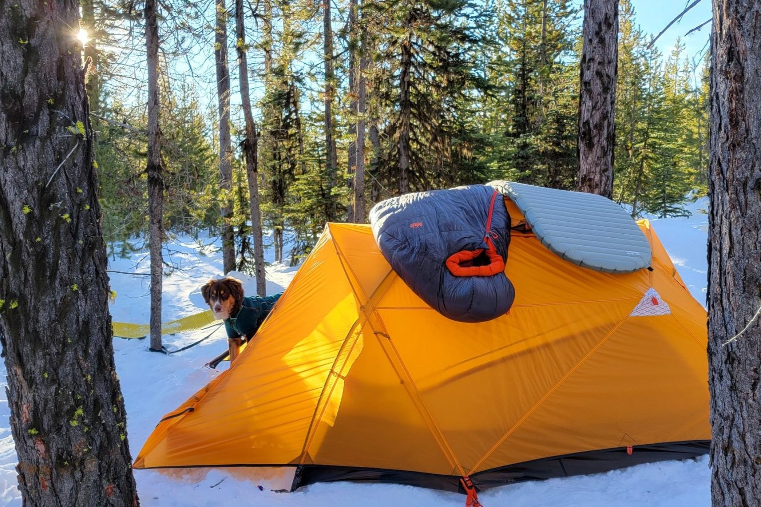 10 Best Backpacking Sleeping Pads of 2024 CleverHiker