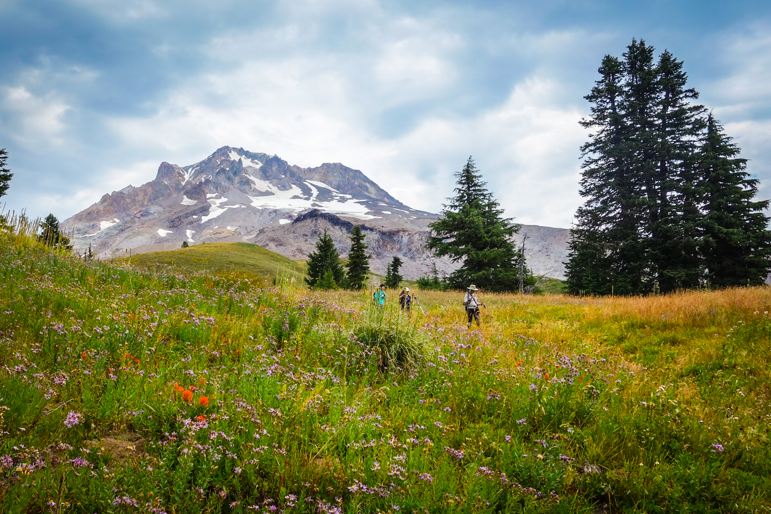 Timberline Trail - Mount Hood