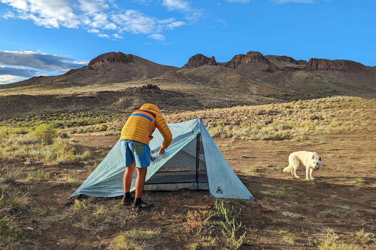 A hiker rolling back the door of the Durston X-Mid 2 Pro tent. There is a white dog to the side to the tent and some brushy mountains in the background