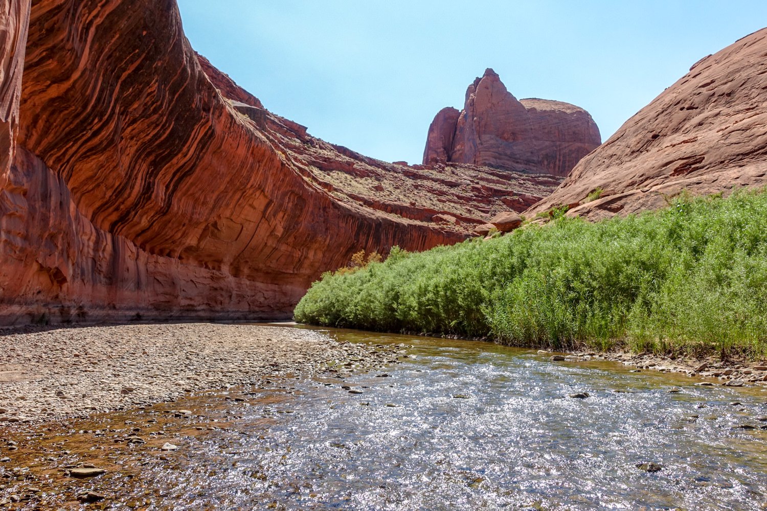 A creek running through a red rock canyon in Coyote Gulch