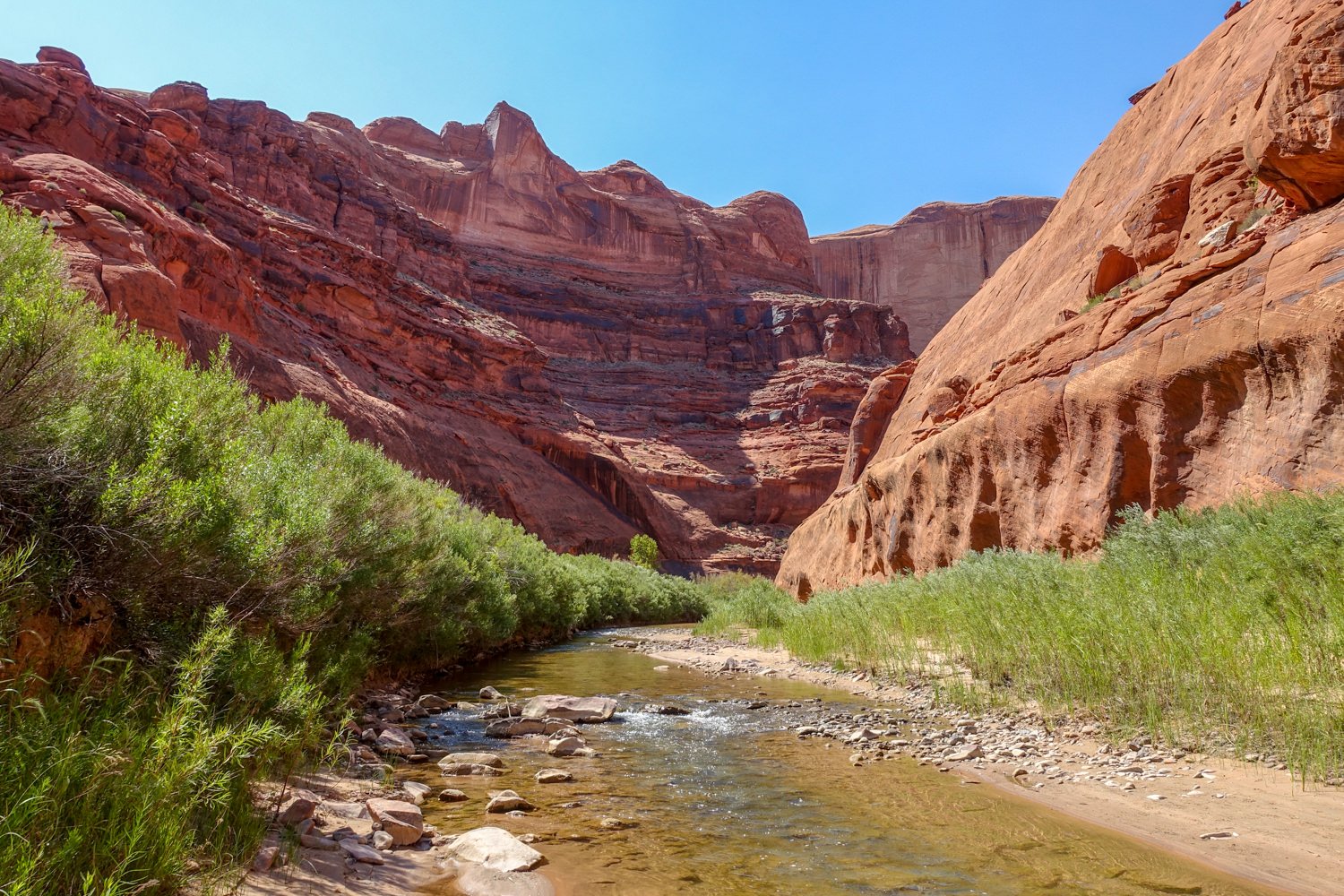 A red Canyon along the Coyote Gulch backpacking route