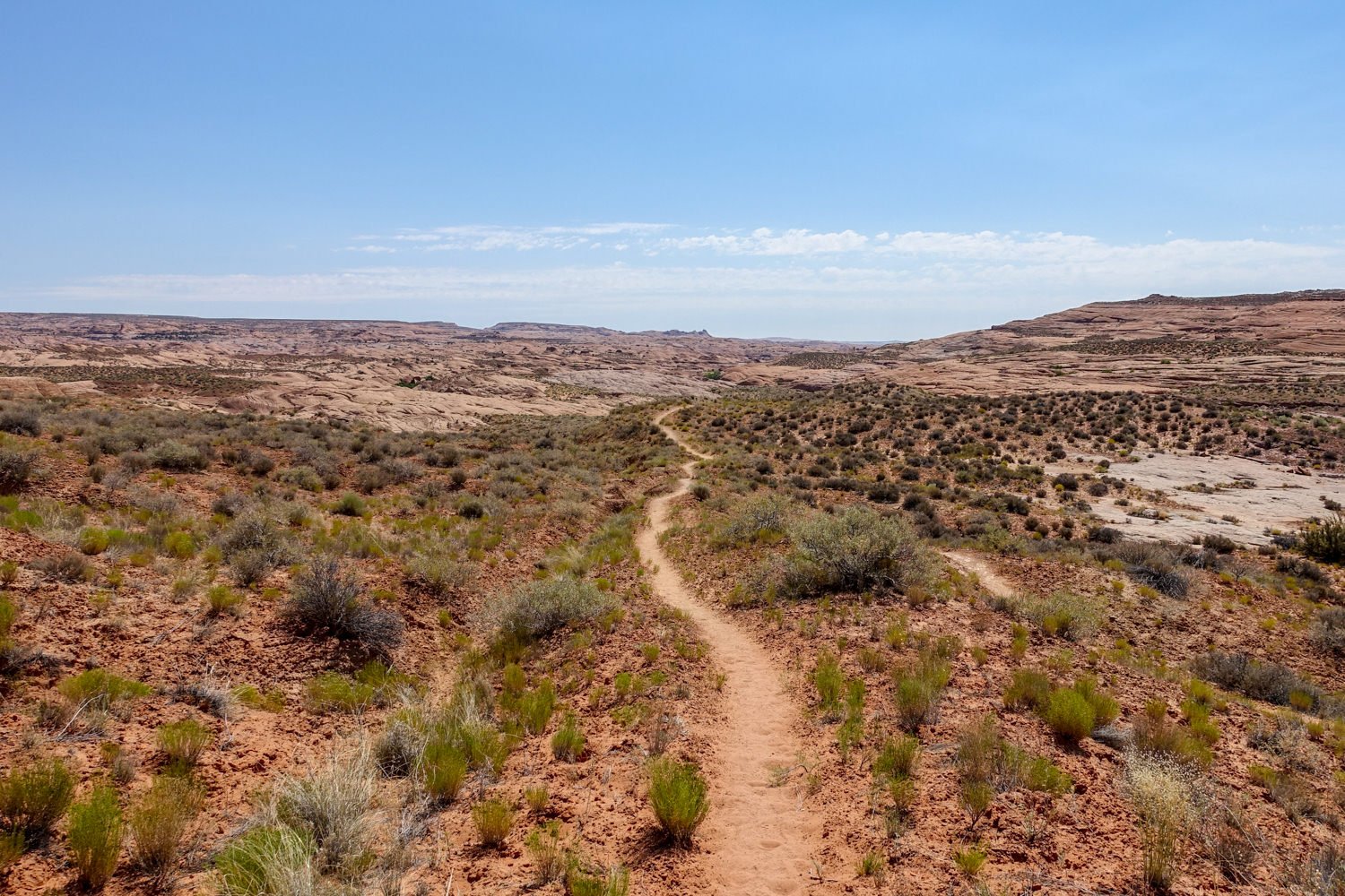 A trail winding through the high desert near Coyote Gulch