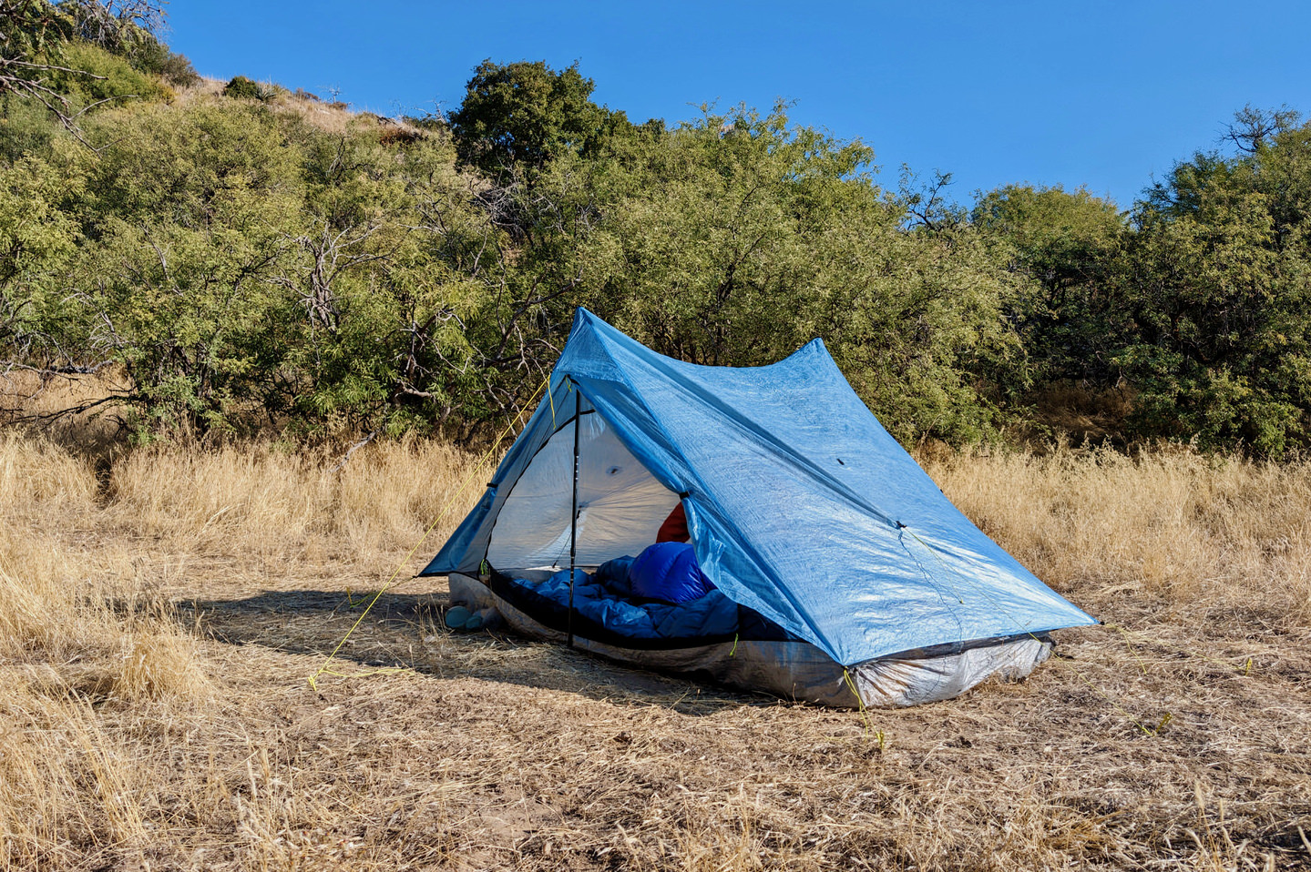 The Zpacks Duplex Tent set up in the sun with desert trees in the background