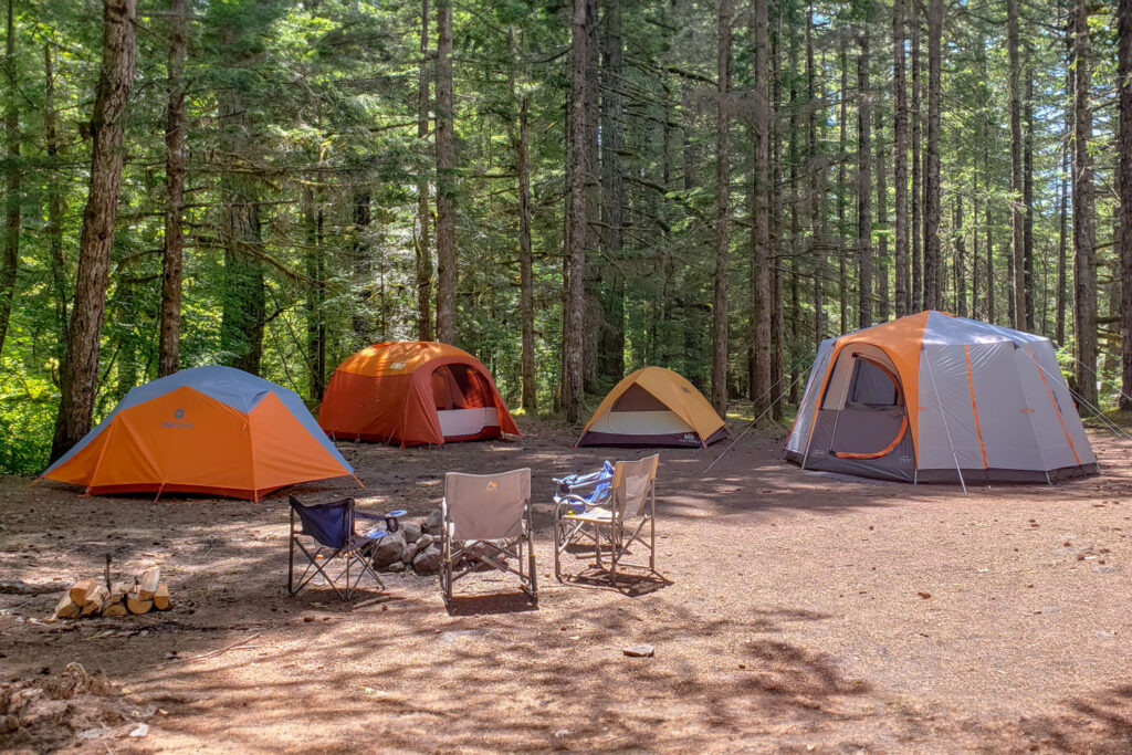 The Marmot Tungsten 4, REI Wonderland 6, REI Camp Dome 4, and Coleman Octagon 98 in a forested campsite next to a fire ring.