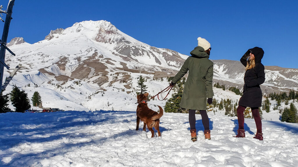 trekking camping trip