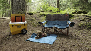 A puppy sitting next to the Kelty Low Loveseat and the Rovr Rollr 60 Cooler in a forested setting