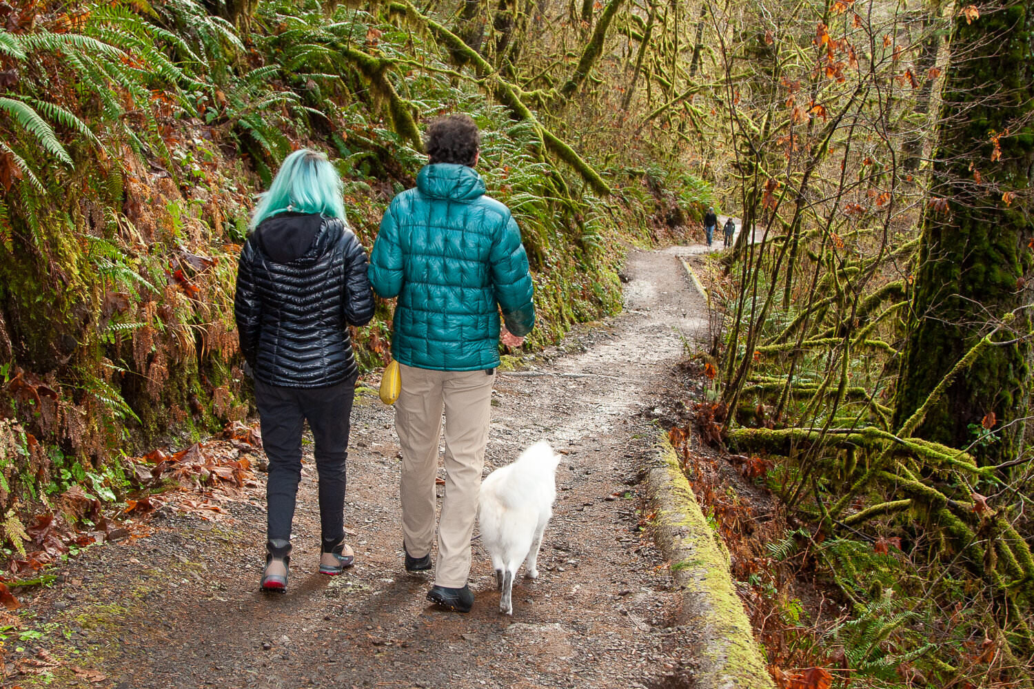 Going for a winter hike at Silver Falls State Park in Oregon