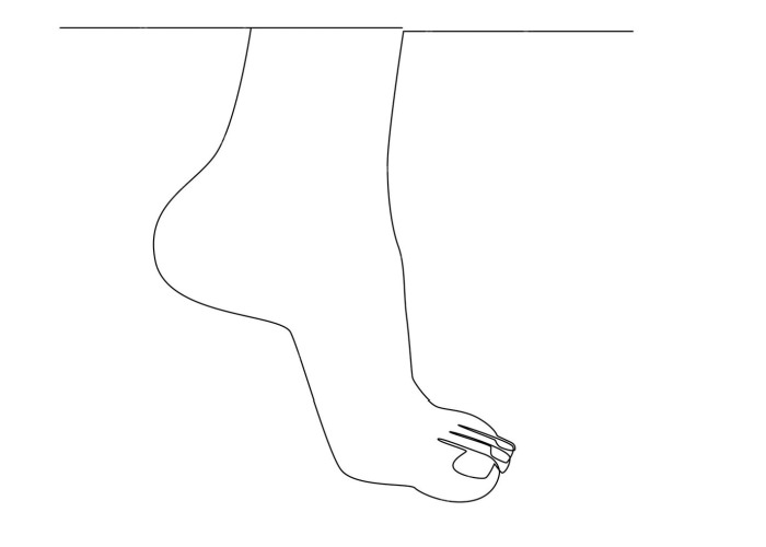 Foot line drawing