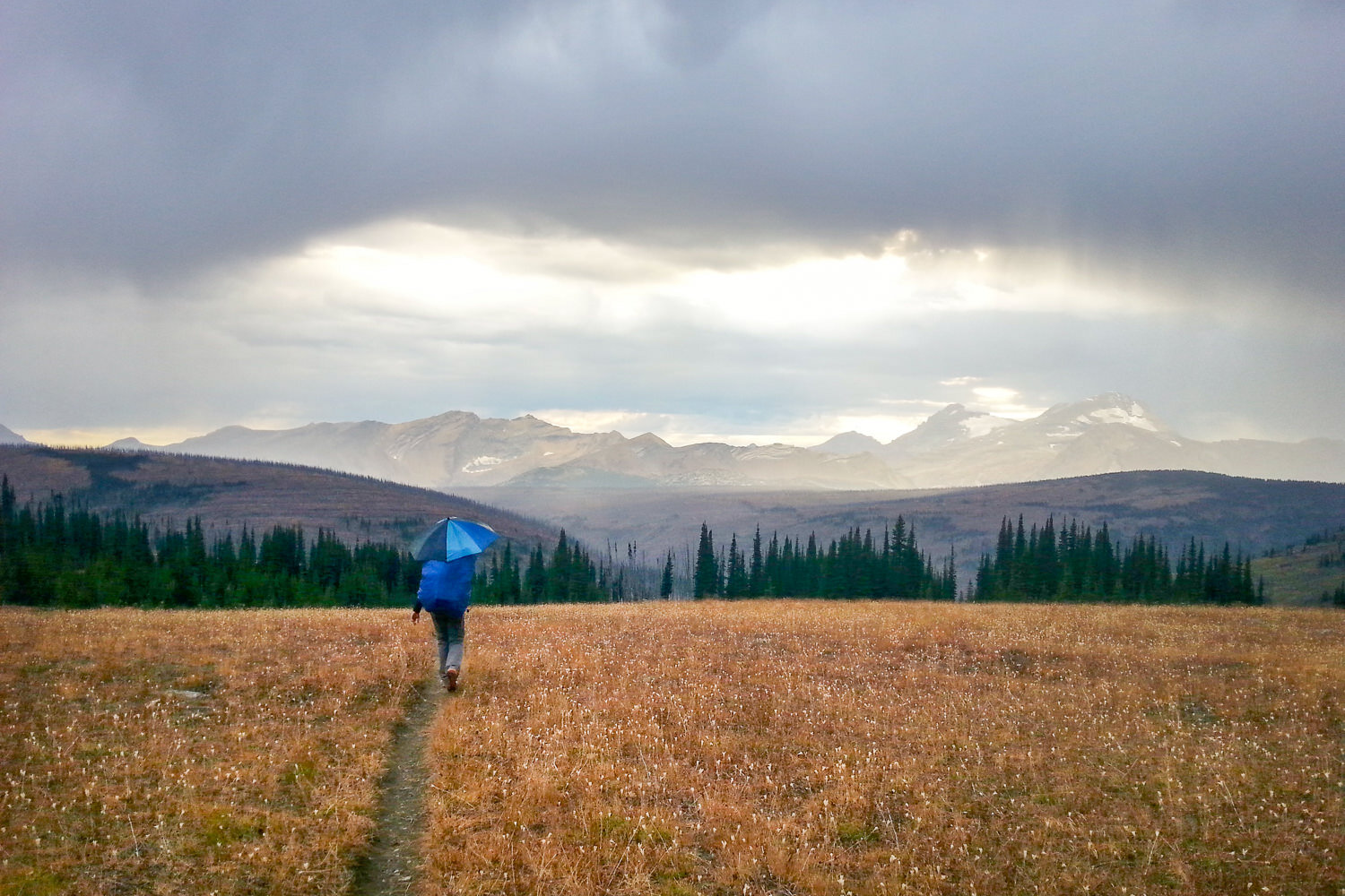 backpacker on the CDT using an umbrella in the rain on a trail through an open meadow. The skies are cloudy with sunbursting through over the mountains.